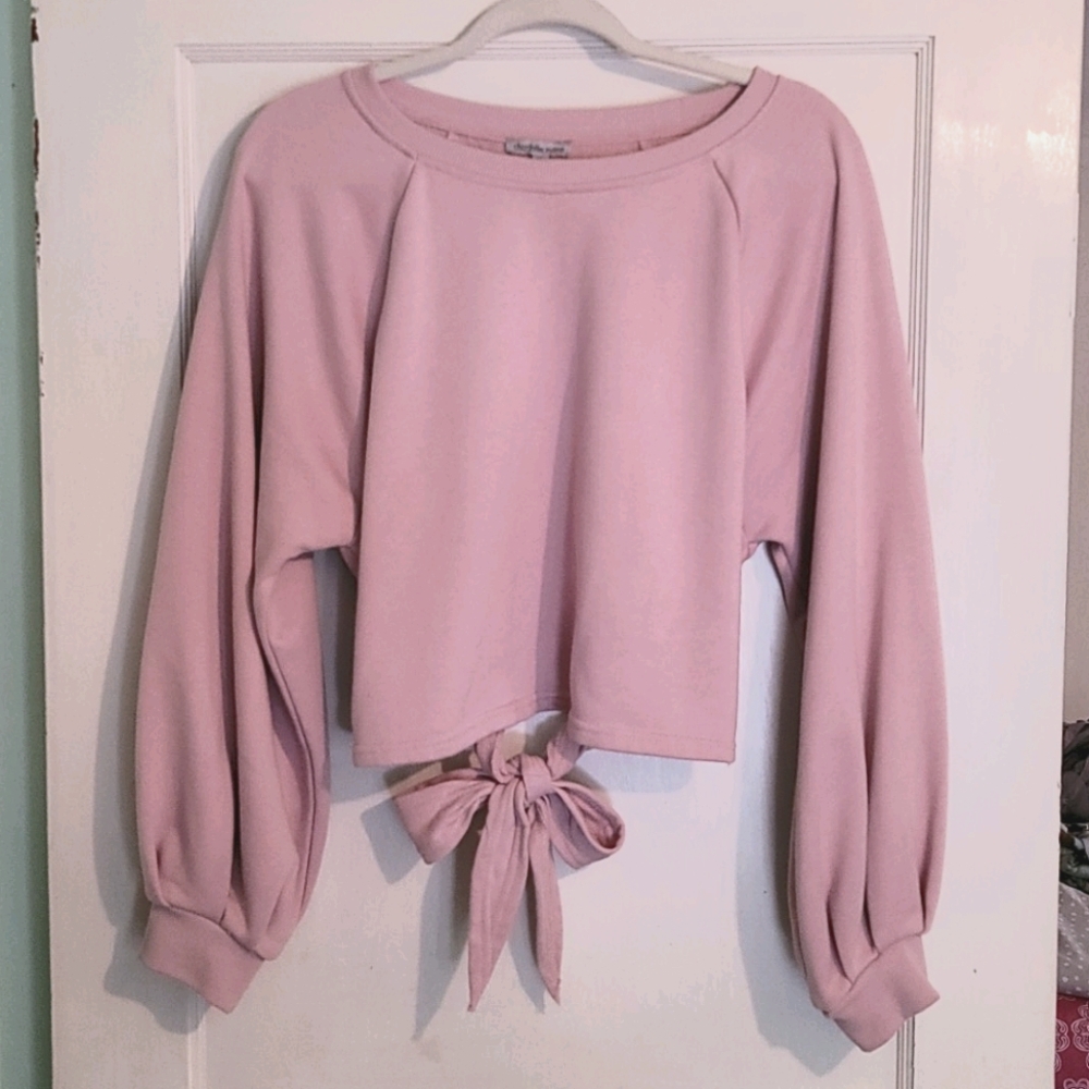 Soft pink cropped sweatshirt